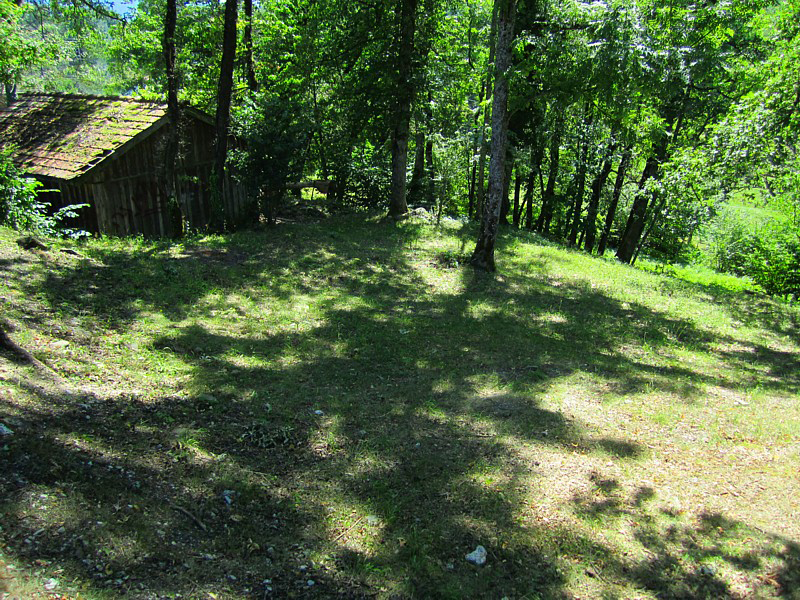 fermette en sous-bois