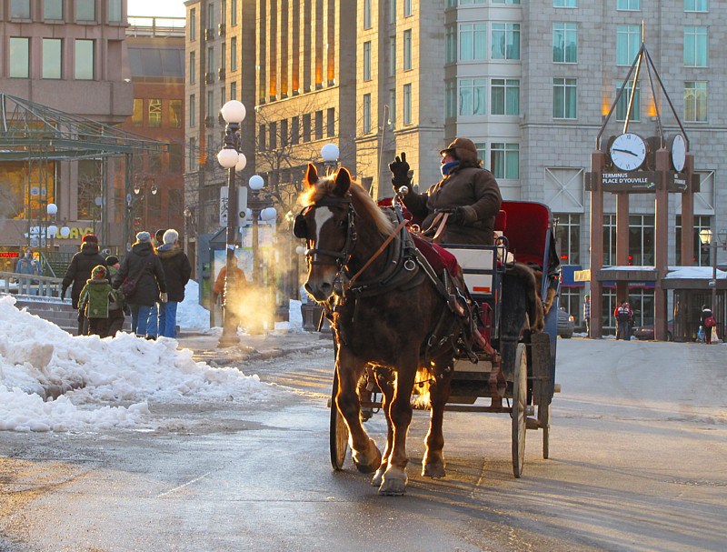 Tour de calèche sur St-Jean