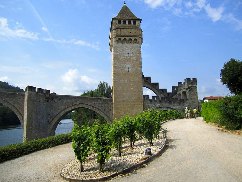 Vigne au pied du pont