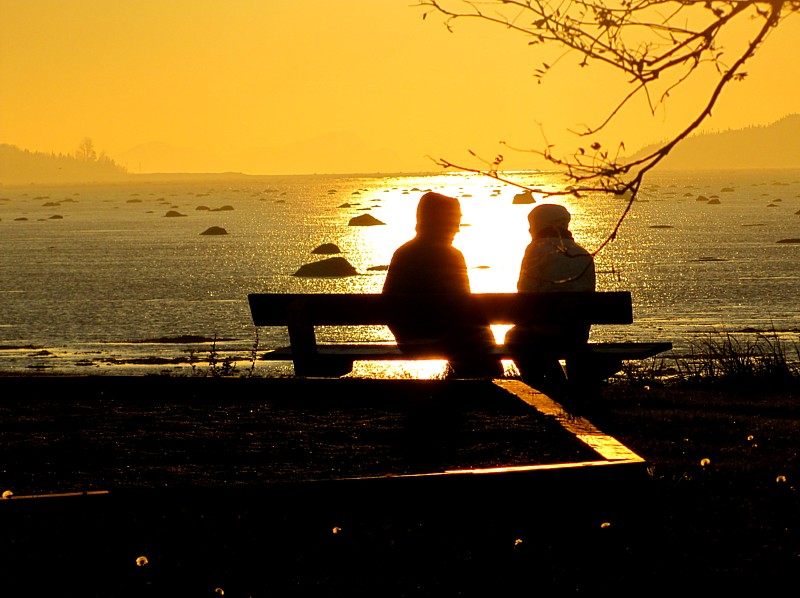 Tte  tte sur un banc au coucher du soleil