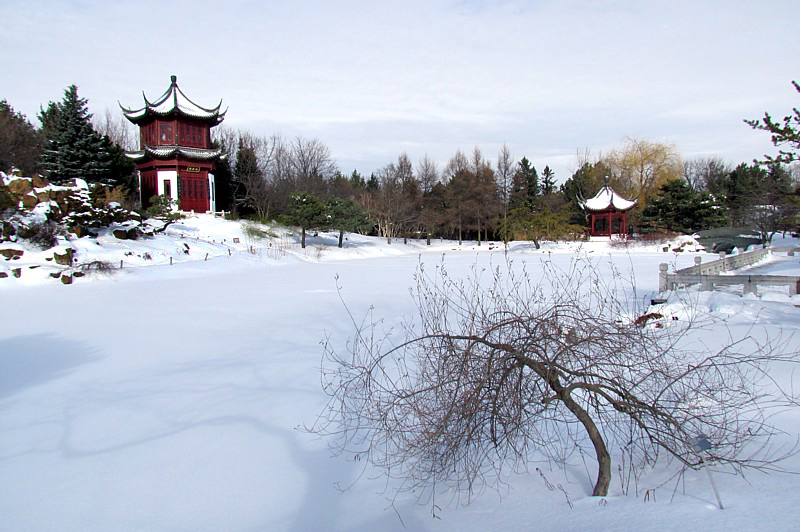 scne d'hiver au jardin chinois