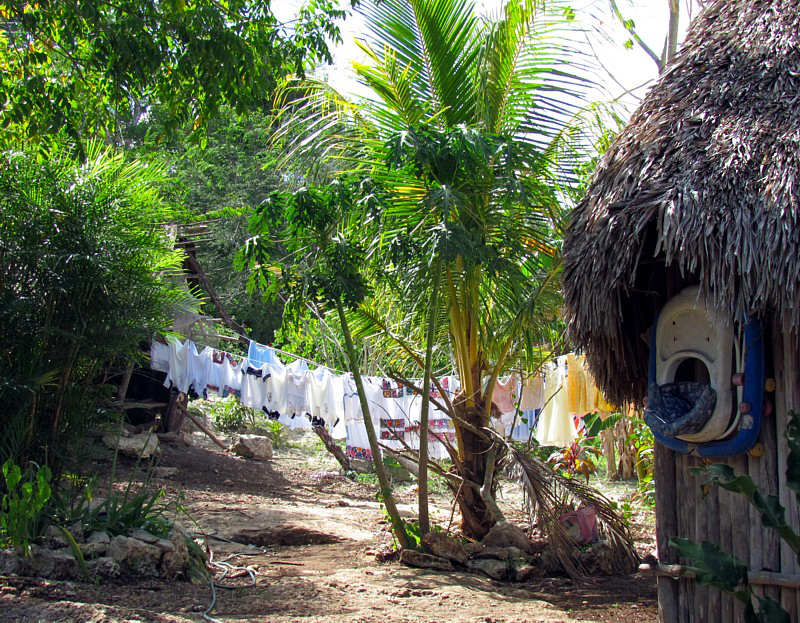 corde  linge dans la cour