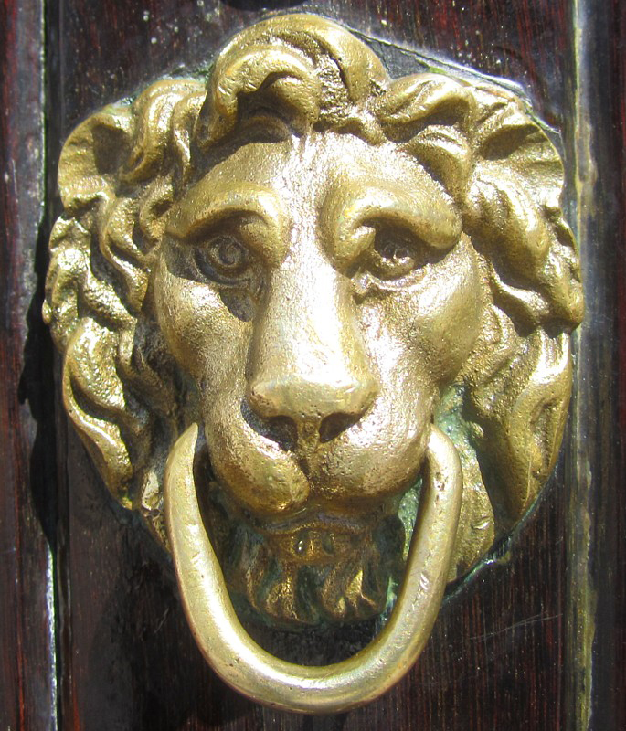 L'anneau lion