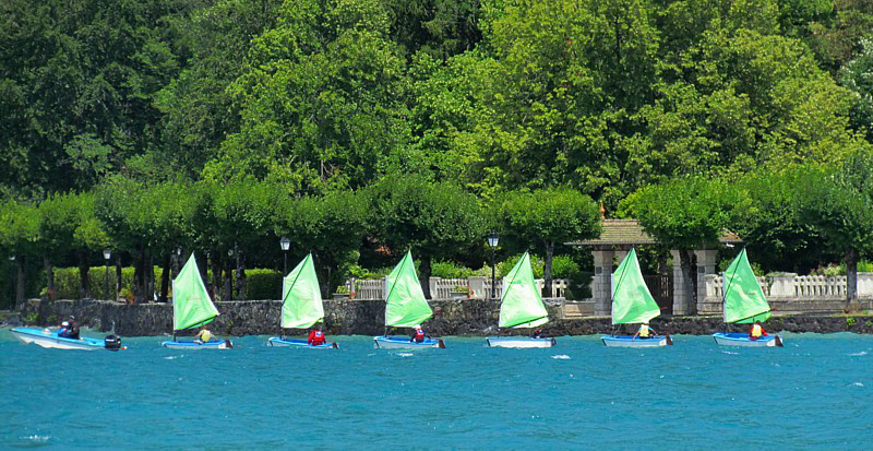 cole de voile