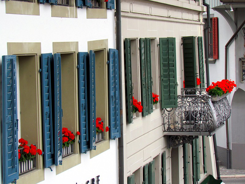 l'tage des graniums