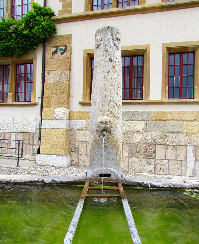Vieille fontaine  Erlach