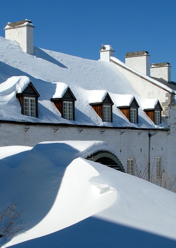 les toits de la redoute Dauphine