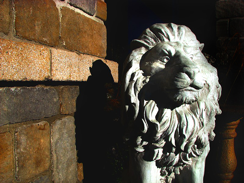 Lion de pltre