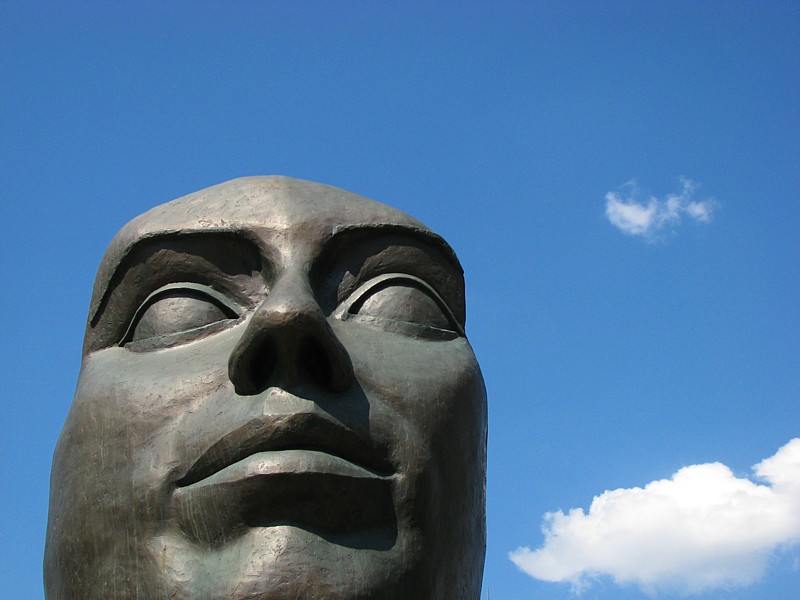 Visage de  L'Envol  dans le ciel bleu