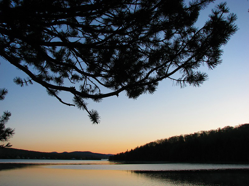 chapeau de pin sur le lac St-Joseph