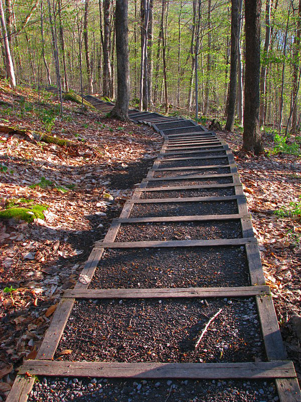 L'escalier  sentier