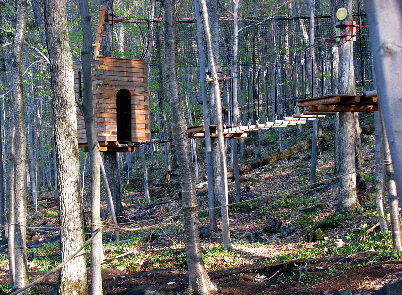 cabane dans les arbres