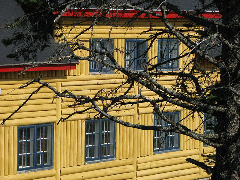 chalet jaune et arbre mort