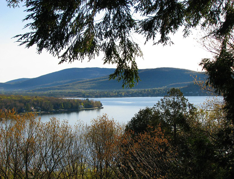 sous bois et lac