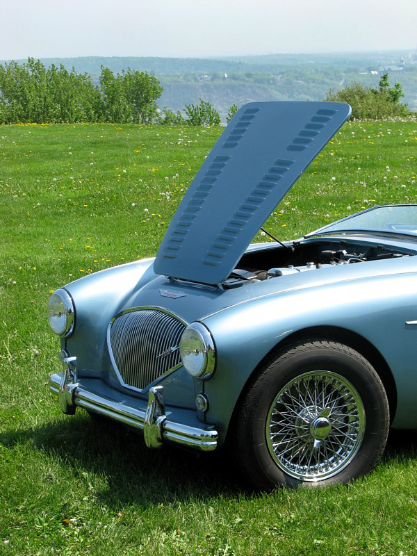  Austin Healey  100Z