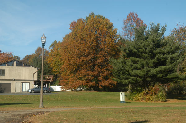 ir-081030_0029.jpg