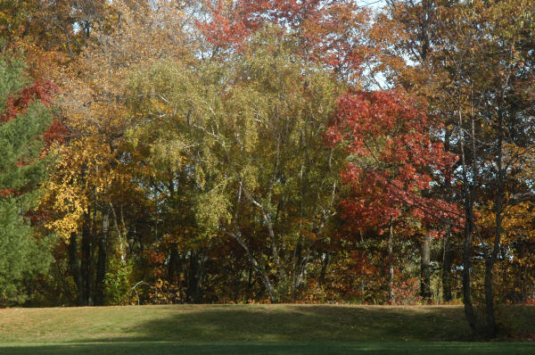 ir-081102_0013.jpg