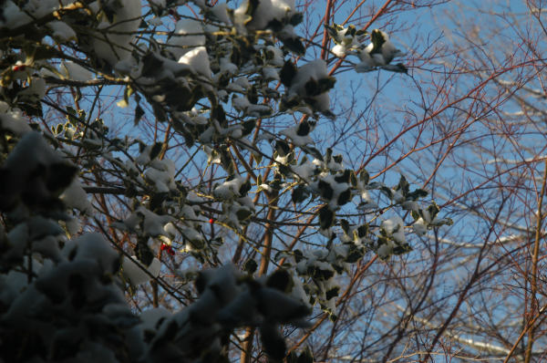 ir-081221_0080.jpg