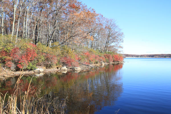 ir-101102_10-36_8931.jpg