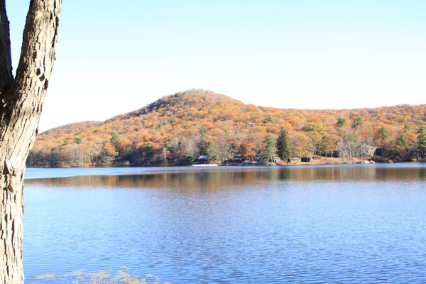 ir-101102_10-59_8948.jpg