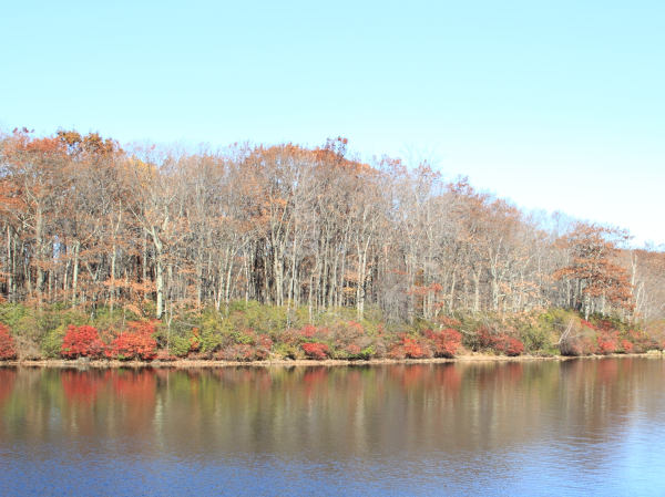 ir-101102_10-35_8927L.jpg