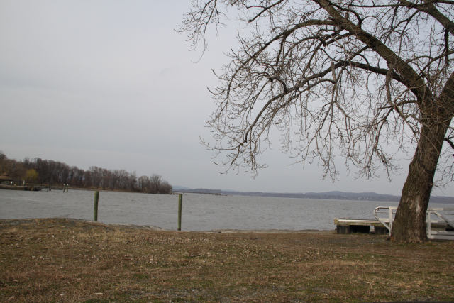 ir-120315__0553_15-12.jpg