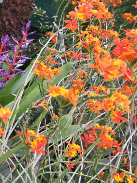 ir-120322__0962_15-02P.jpg