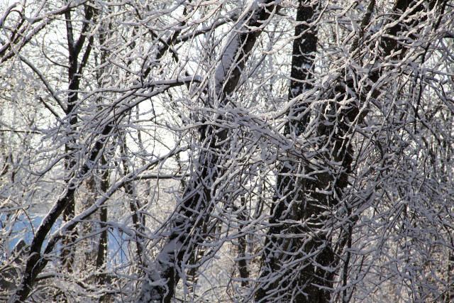 ir-130214__8582_08-47.jpg