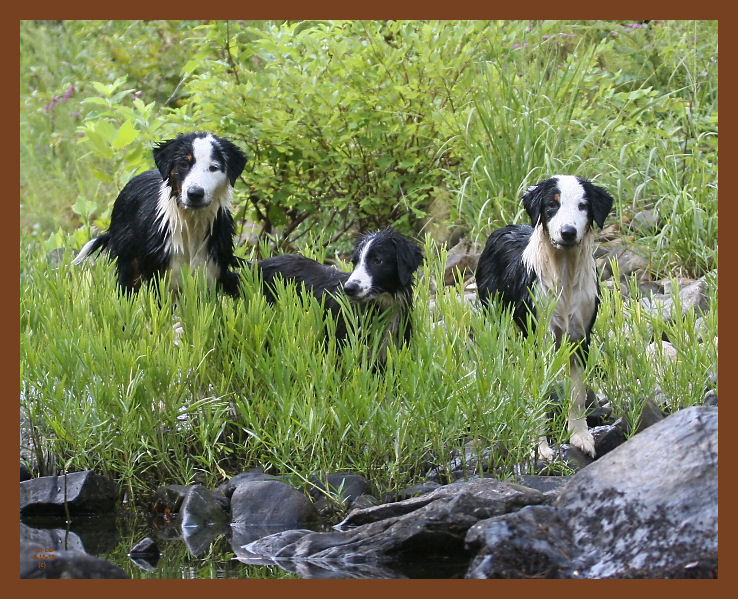8-15-10-monty-jake-mallie-078b.JPG