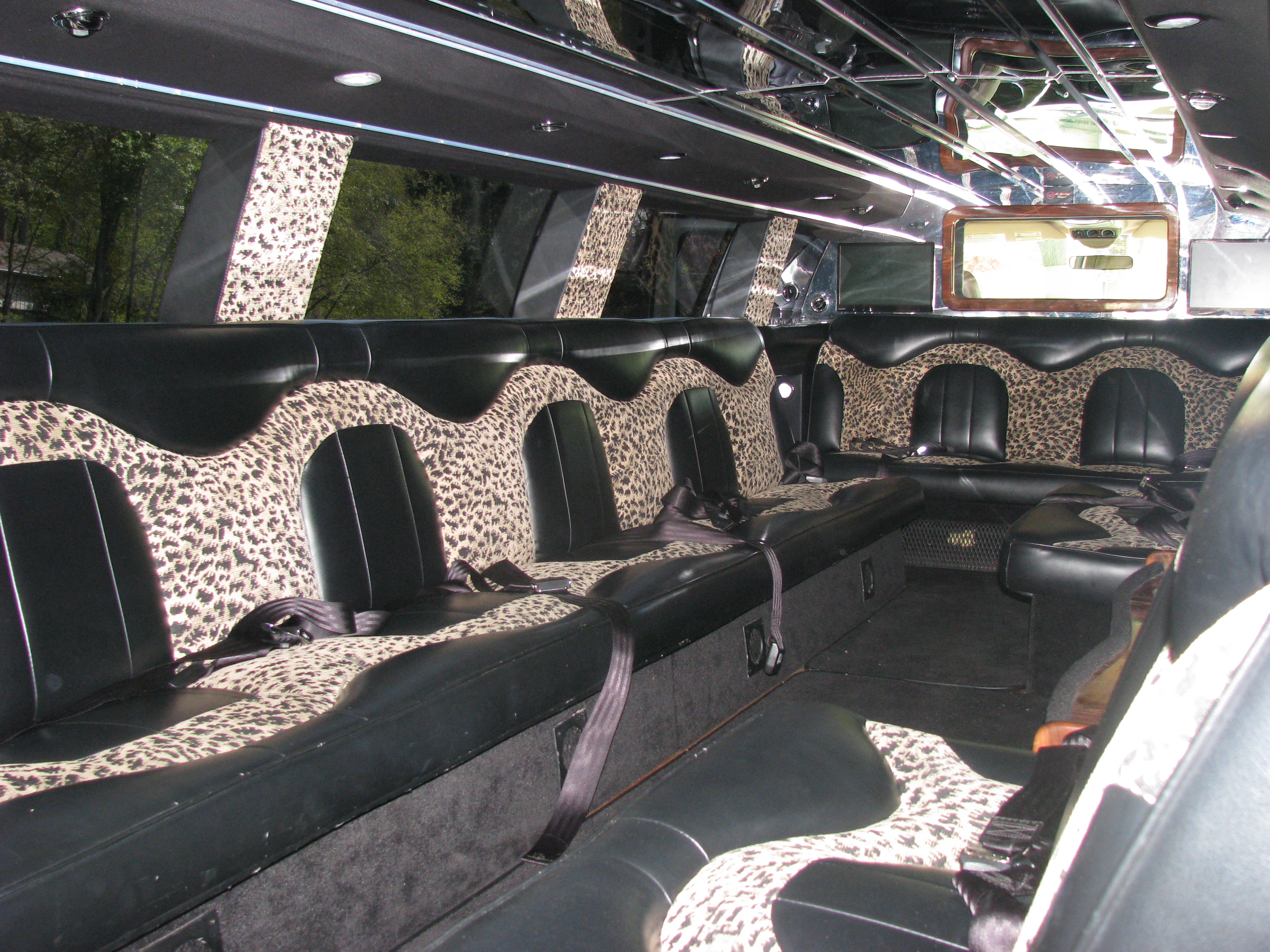 SERIOUSLY PIMPIN THE LIMO