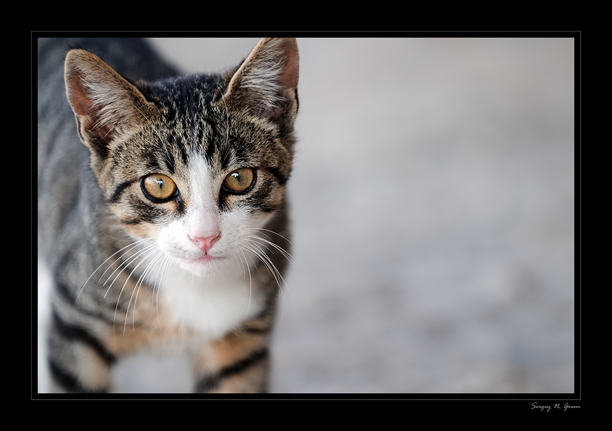 DSC_0221_FR_.jpg
