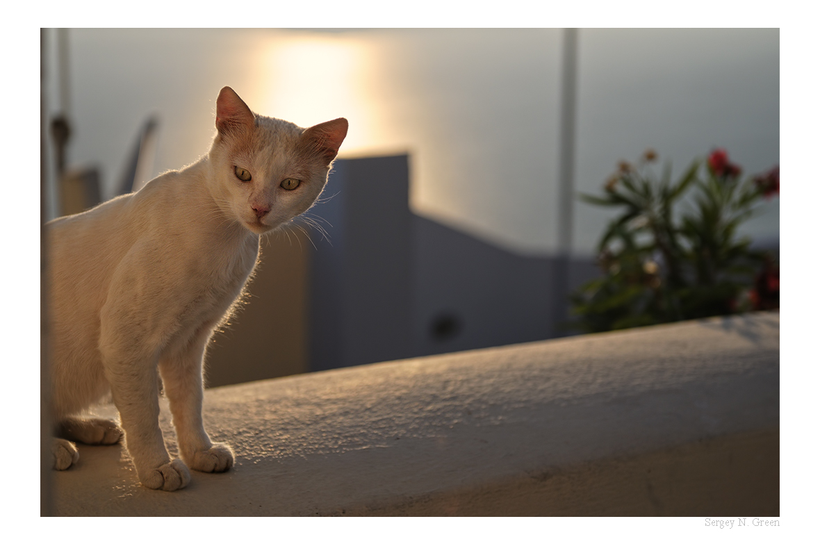 DSC_1735_FR_.jpg