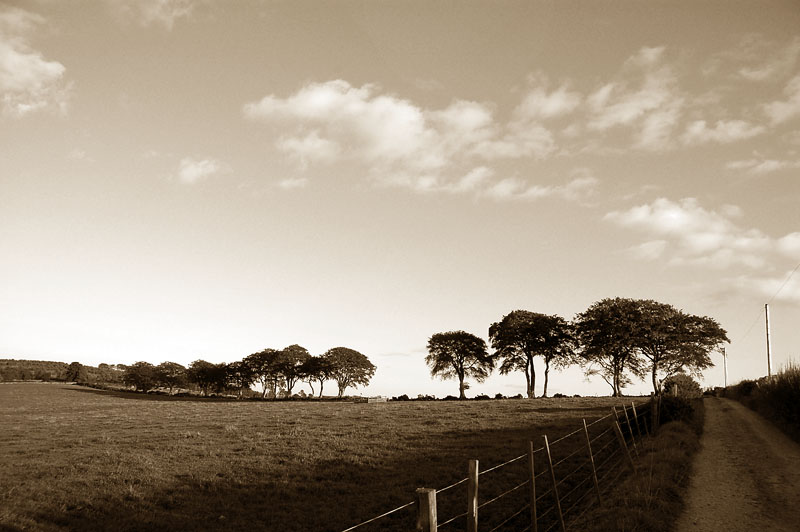 22nd September 2008 <br> now its autumn