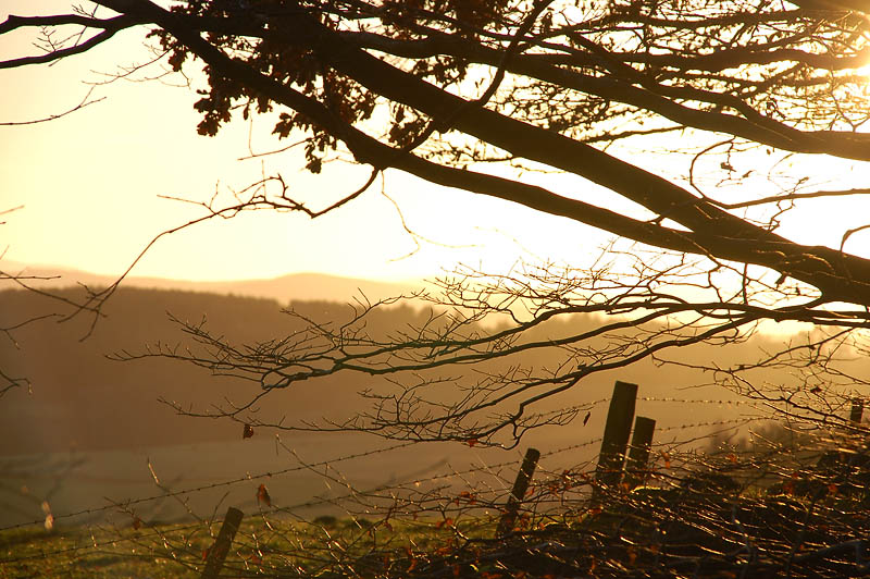 6th December 2008 <br> icy sun
