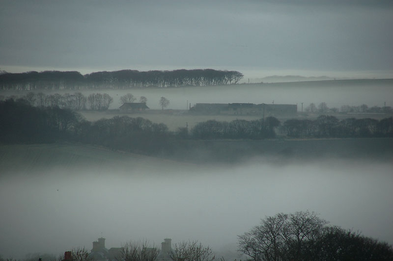 11th December 2008  misty