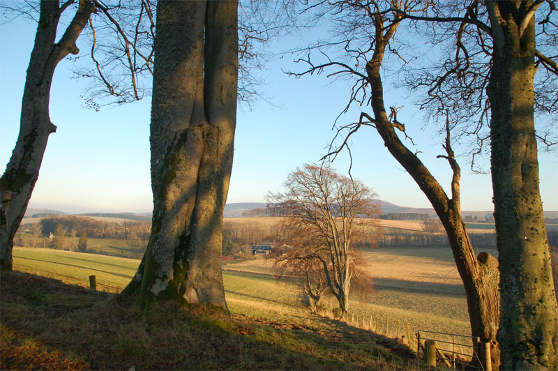 6th December 2009 <br> winter sun
