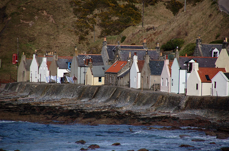 DSC_0015 copy.jpg