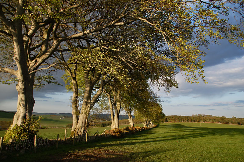 17th May 2010 <br> beautiful day