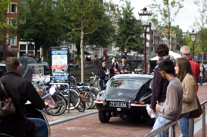 DSC_0167 copy.jpg
