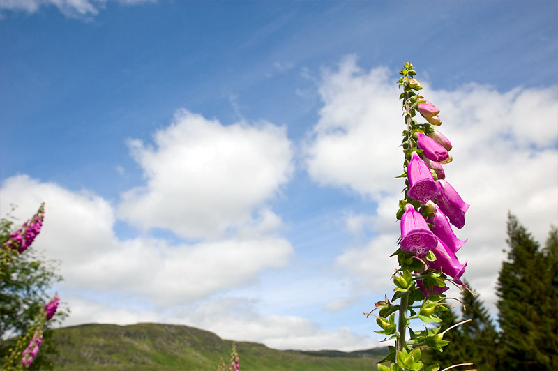 24th July 2012 <br> Somewhere in the highlands