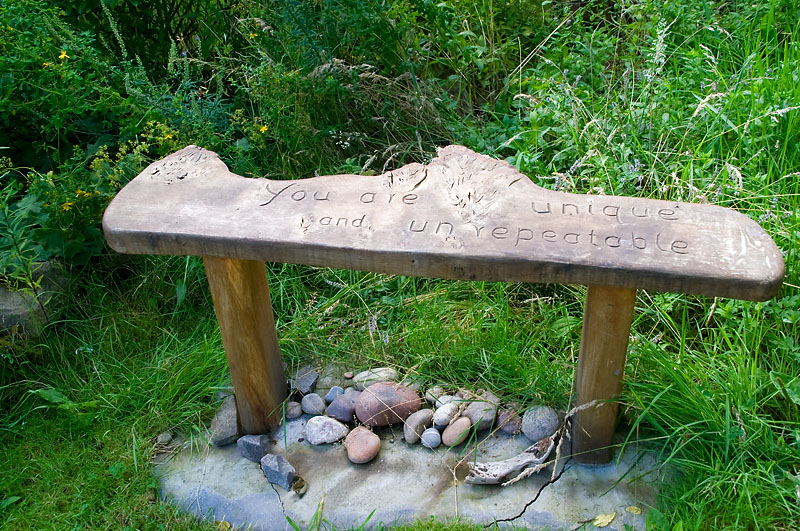 DSC_1495 copy.jpg