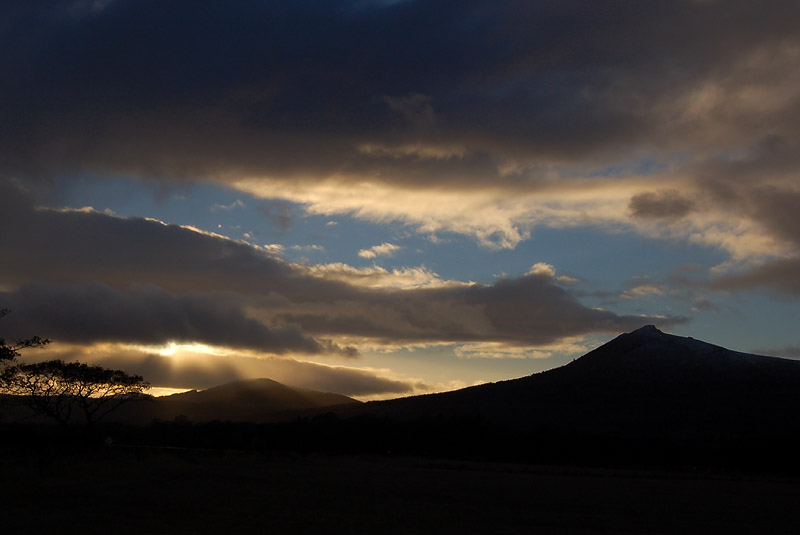 DSC_0002s.jpg