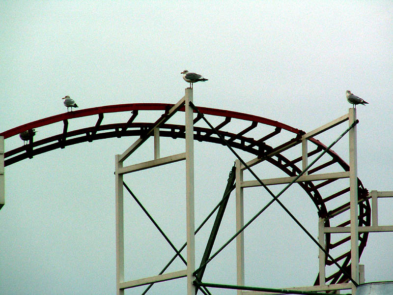 PICT0054s.jpg
