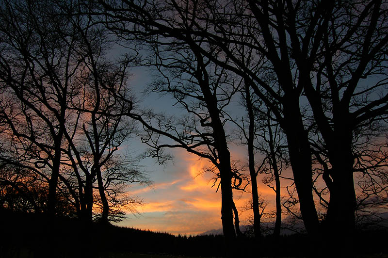 20th November 2005 another day