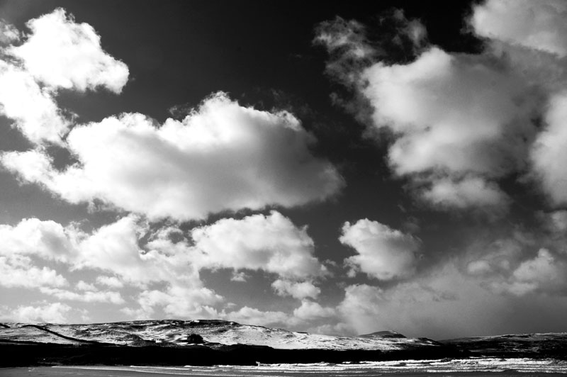 DSC_0112 copy.jpg