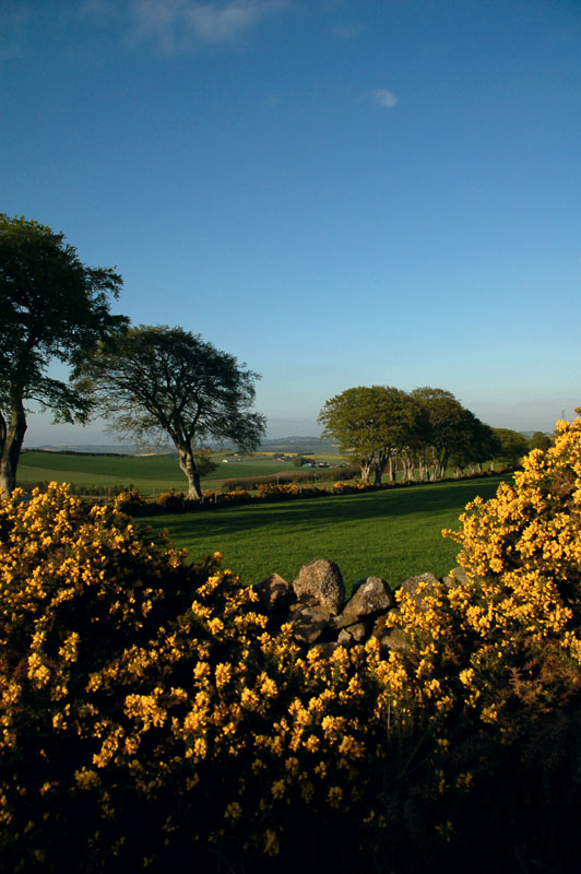 13th May 2008 <br> broom