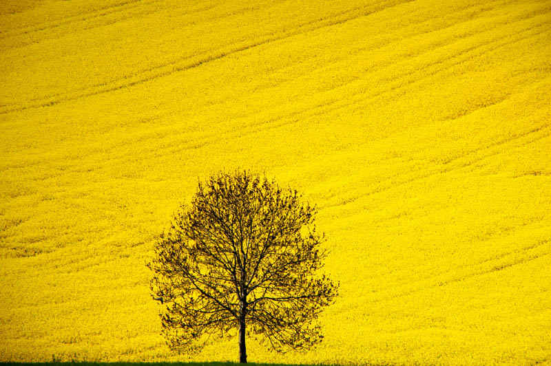 DSC_0017 copy.jpg