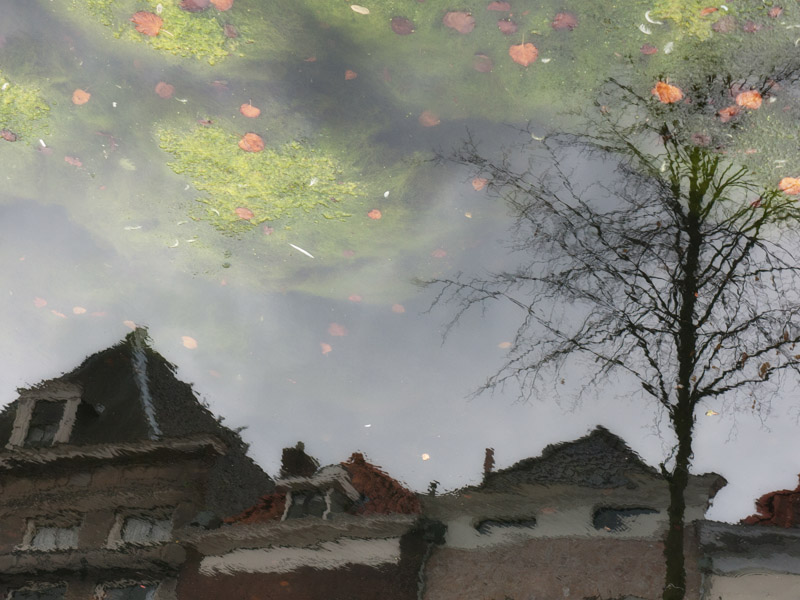 recalling autumn..