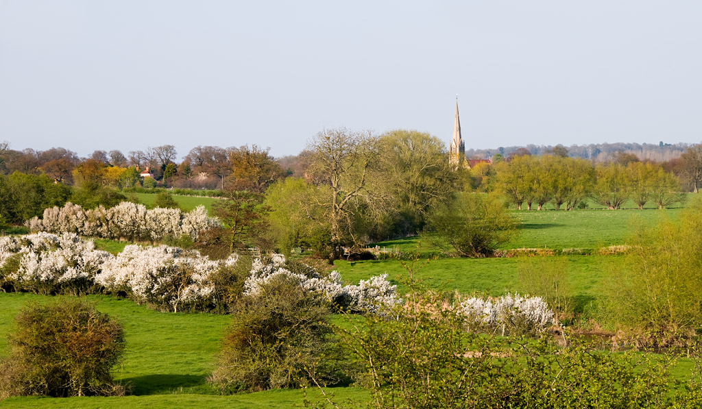 22nd - Rural Peace