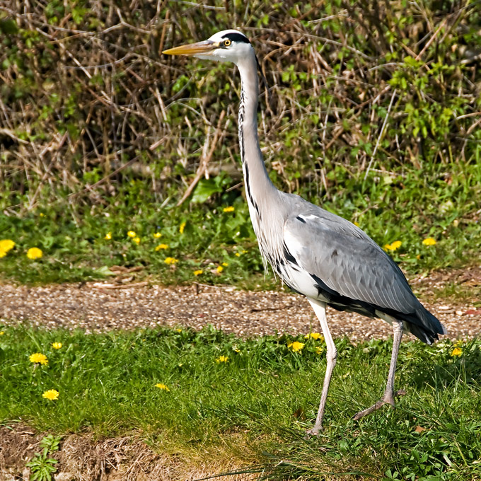 23rd - Fisherman